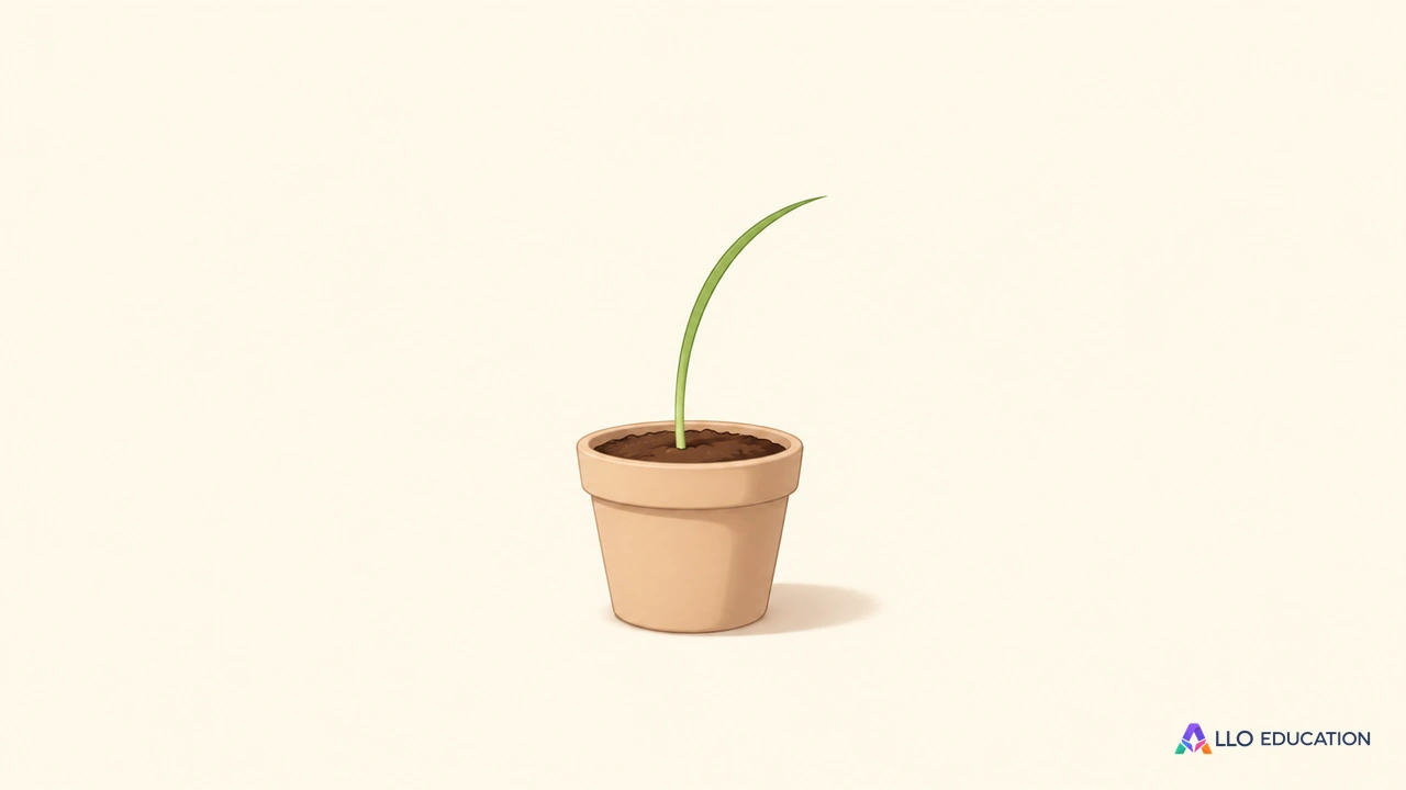 Une fine plantule verte doucement courbée dans un pot beige entier sans inscription.